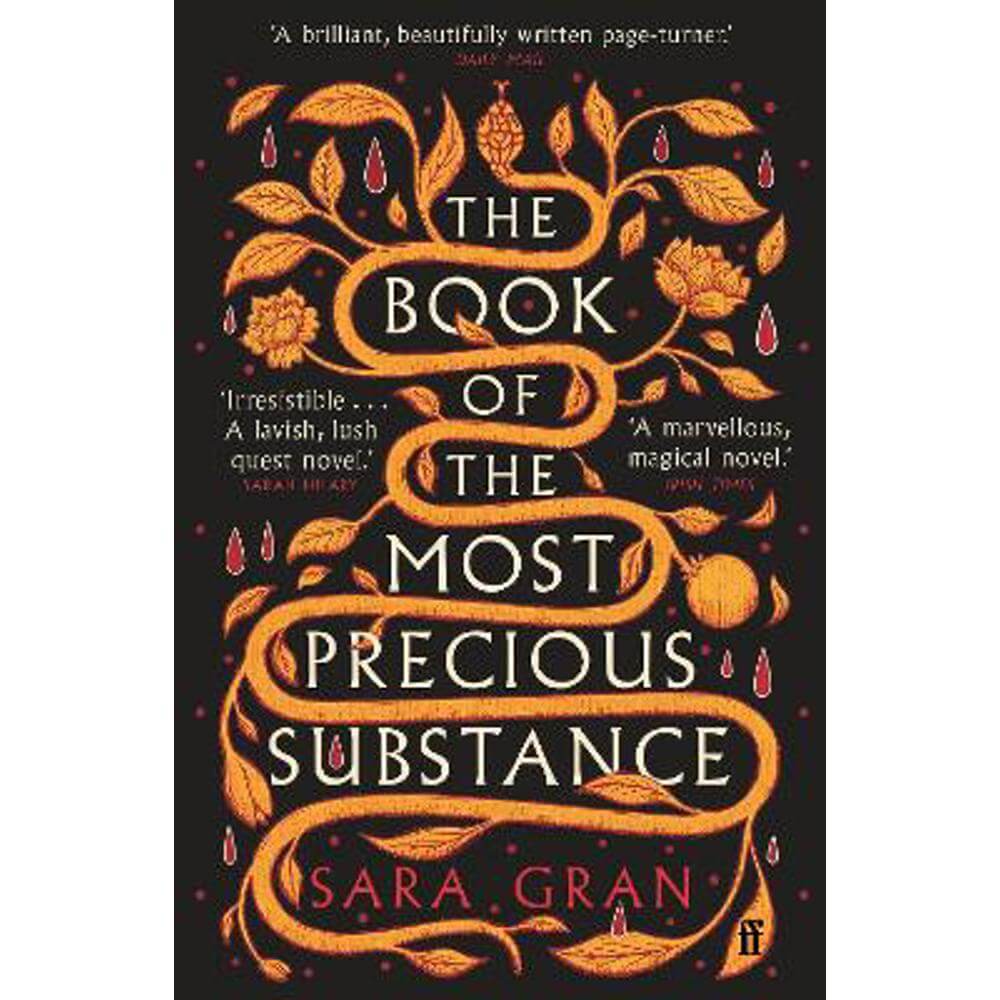 The Book of the Most Precious Substance: Discover this year's most spellbinding quest novel (Paperback) - Sara Gran